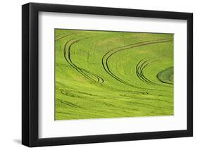 Tilling Pattern in Rolling Hills of Wheat-Terry Eggers-Framed Photographic Print