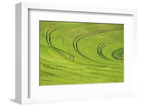 Tilling Pattern in Rolling Hills of Wheat-Terry Eggers-Framed Photographic Print