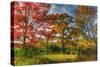 Tillson Lake Trees-Robert Goldwitz-Stretched Canvas