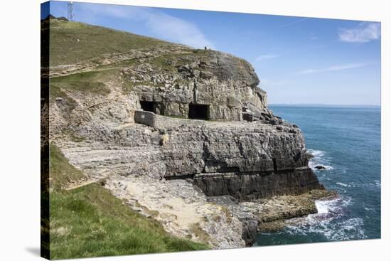 Tilly Whim Caves, Durlston Country Park, Isle of Purbeck, Dorset, England, United Kingdom, Europe-Roy Rainford-Stretched Canvas
