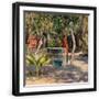 Black Frame