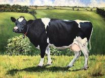 Cow 2021 (oil on canvas)-Tilly Willis-Giclee Print