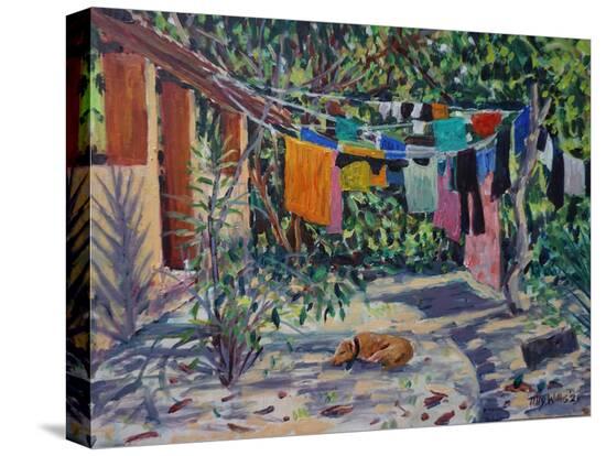 Stretched Canvas Print, , large