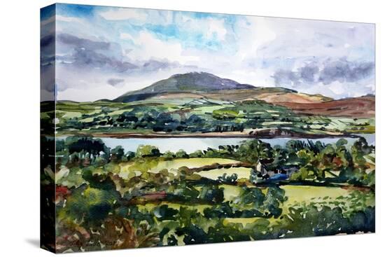 Stretched Canvas Print, , large