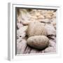 Tilt Shift Effect Image with Shallow Depth of Field Textured Rocks on Beach-Veneratio-Framed Photographic Print