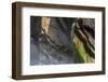 Tilted beds of Carboniferous age, Culm Measures, Sandy Mouth, near Bude, Cornwall-Graham Eaton-Framed Photographic Print
