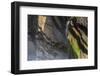 Tilted beds of Carboniferous age, Culm Measures, Sandy Mouth, near Bude, Cornwall-Graham Eaton-Framed Photographic Print