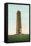 Tilton's Tower, Haverhill-null-Framed Stretched Canvas