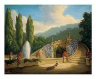 Garden with Peacock and Fountain-Tim Ashkar-Art Print