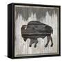Canvas Black
