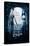 Tim Burton's The Corpse Bride - One Sheet-Trends International-Stretched Canvas