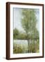 Brown Frame