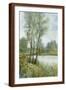 Brown Frame