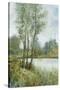Stretched Canvas