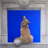 Red Squirrel, L'Acrobata-Tim Hayward-Giclee Print