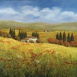 Through the Hills of Tuscany-Tim Howe-Framed Giclee Print