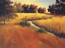 Lo Splendor De La Toscana-Tim Howe-Giclee Print