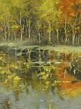 Reflections of a Changing Season-Tim Howe-Giclee Print