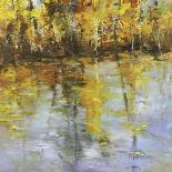 Reflections of a Changing Season-Tim Howe-Giclee Print