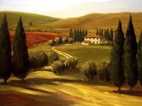 Through the Hills of Tuscany-Tim Howe-Framed Premium Giclee Print