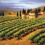 Villa in the Vinyards of Tuscany-Tim Howe-Premium Giclee Print