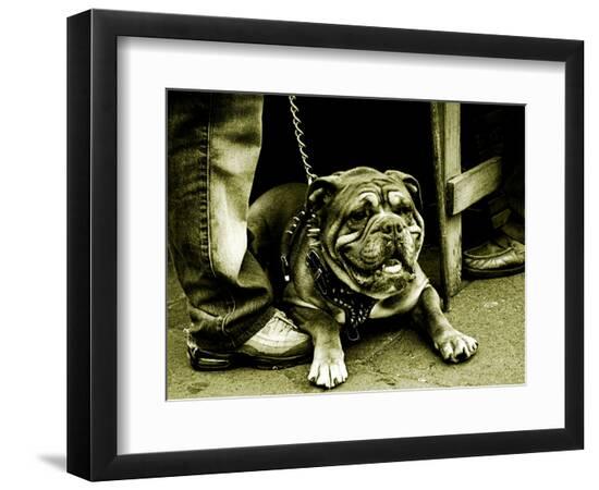 Photographic Print, , large