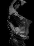 Flamenco-Tim Kahane-Photographic Print