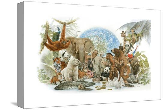 Stretched Canvas Print, , large