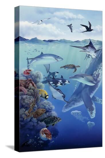 Stretched Canvas Print, , large