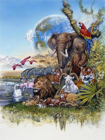 Wild Animals Posters & Wall Art Prints