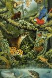 Desert Scene with Falcon and Cactus, a Fox and Other Desert Animals-Tim Knepp-Giclee Print