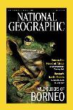 Cover of the January, 2013 National Geographic Magazine-Tim Laman-Mounted Photographic Print