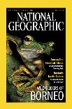 Cover of the January, 2013 National Geographic Magazine-Tim Laman-Framed Photographic Print