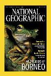Cover of the October, 2000 National Geographic Magazine-Tim Laman-Photographic Print