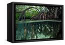 Canvas Black