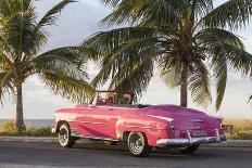 Pink Chevrolet, Havana, Cuba-Tim Mannakee-Photographic Print