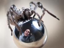 Self-Portrait with Spider-Tim Millar-Photographic Print