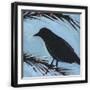 Black Frame