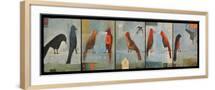Brown Frame