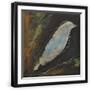 Black Frame