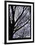 Gramercy Black