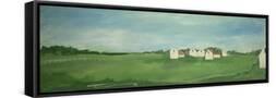 Framed Canvas