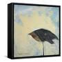 Canvas Black