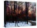 Stretched Canvas