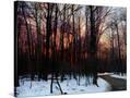 Stretched Canvas