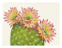 Desert Blossoms I-Tim O'toole-Giclee Print