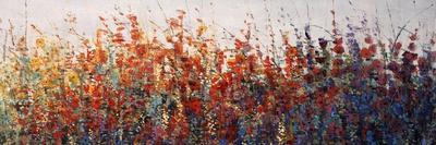 Desert Blossoms I-Tim O'toole-Giclee Print