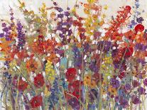 Variety of Flowers II-Tim O'toole-Art Print