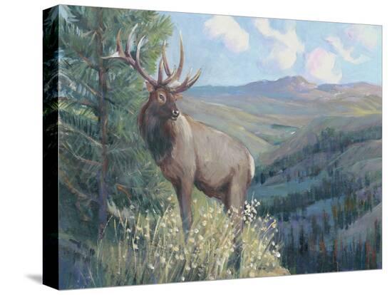 Stretched Canvas Print, , large
