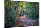 Wood Mount